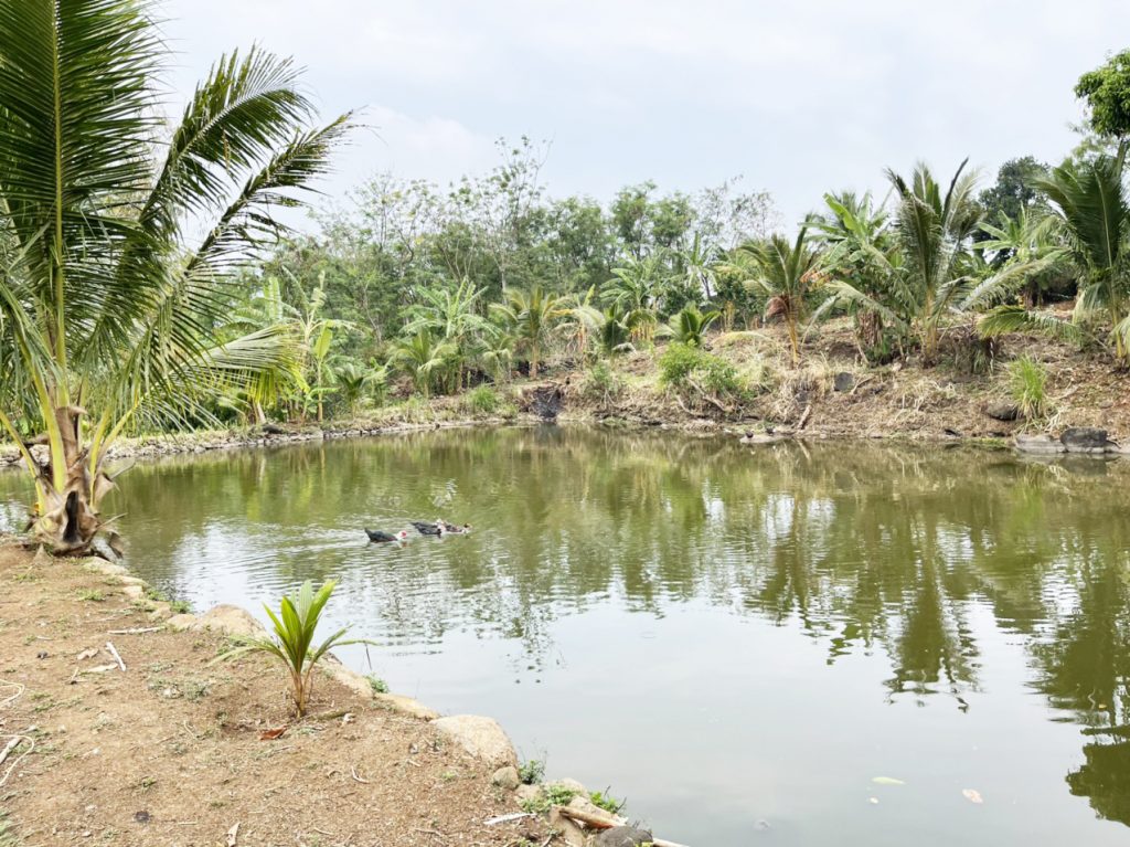 view nhà vườn hồ đẹp