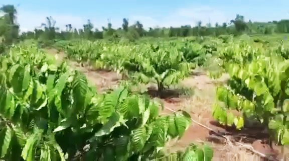 Bán đất Đăk Lăk