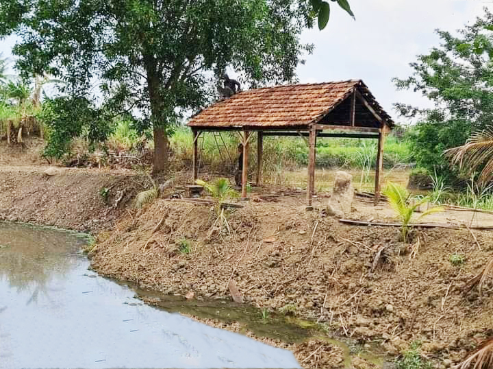 Top homestay Buôn Ma Thuột view "cực xịn"