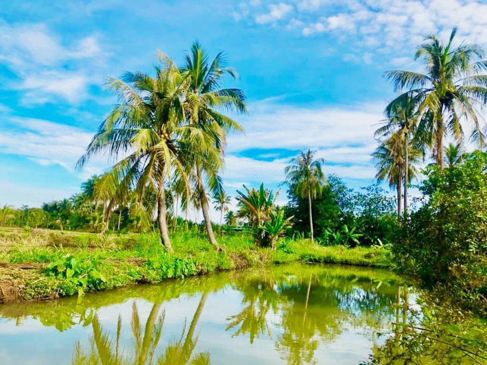 Bán đất Huyện Buôn Đôn