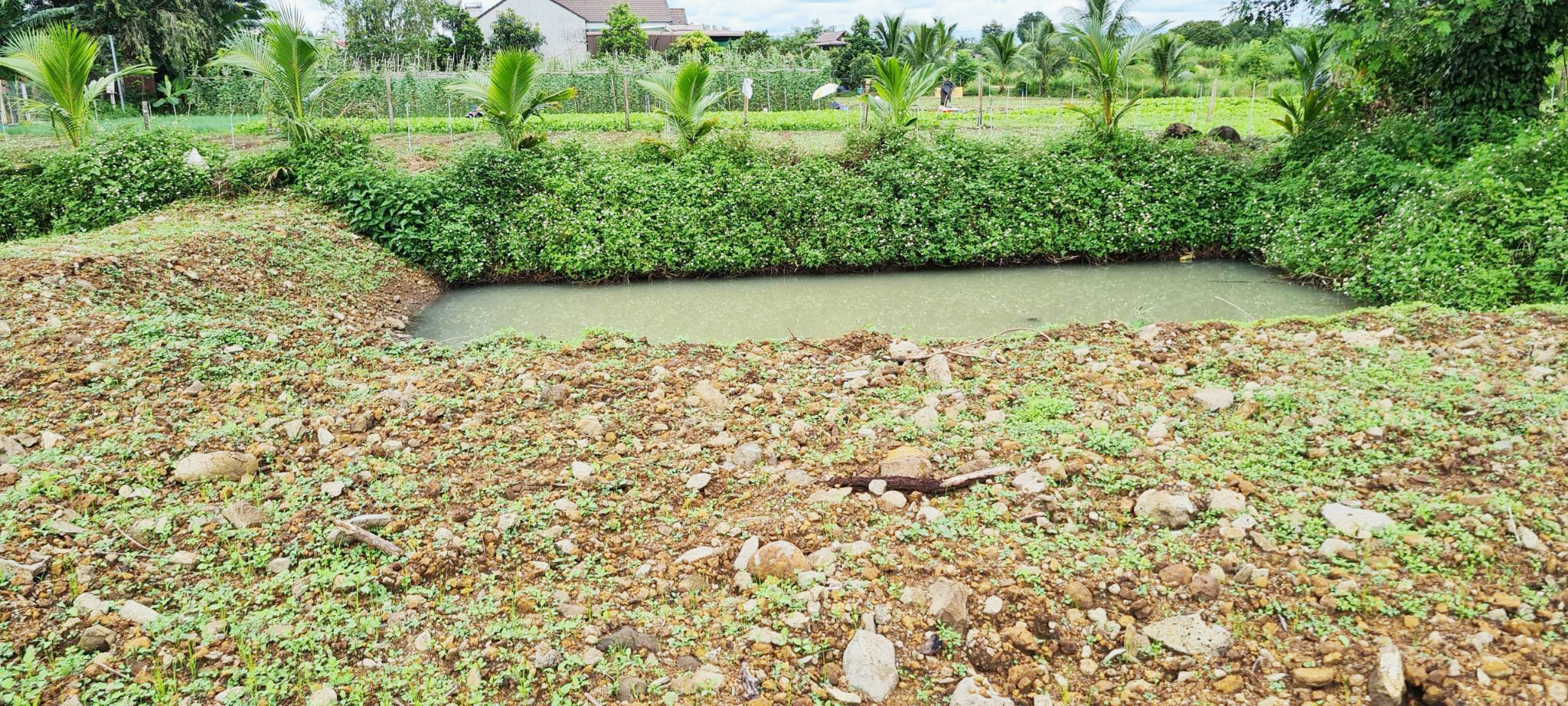 Bán đất Thành phố Buôn Ma Thuột