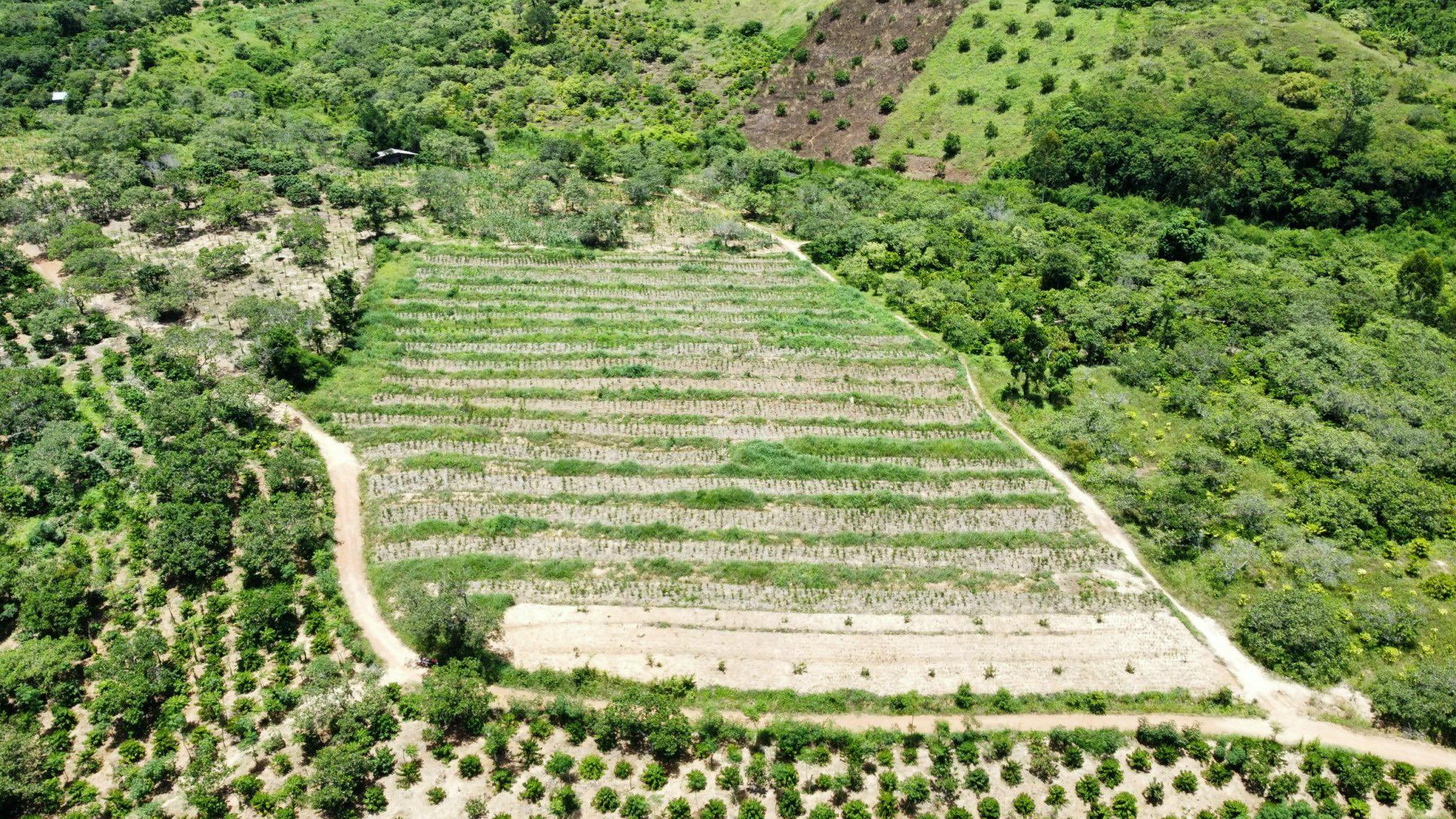 Bán đất tại Đắk Lắk