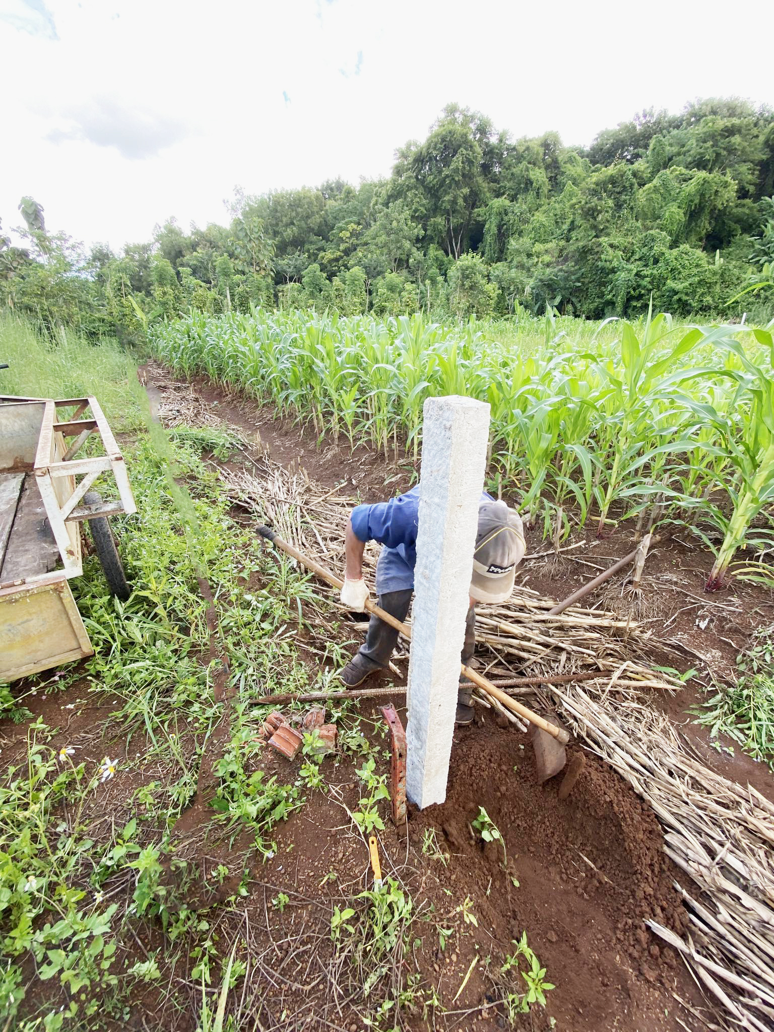 Bán đất tại Phường Khánh Xuân